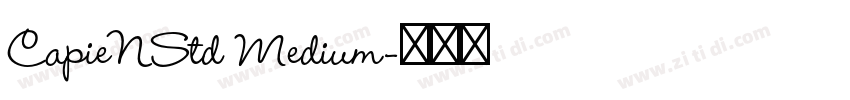 CapieNStd Medium字体转换